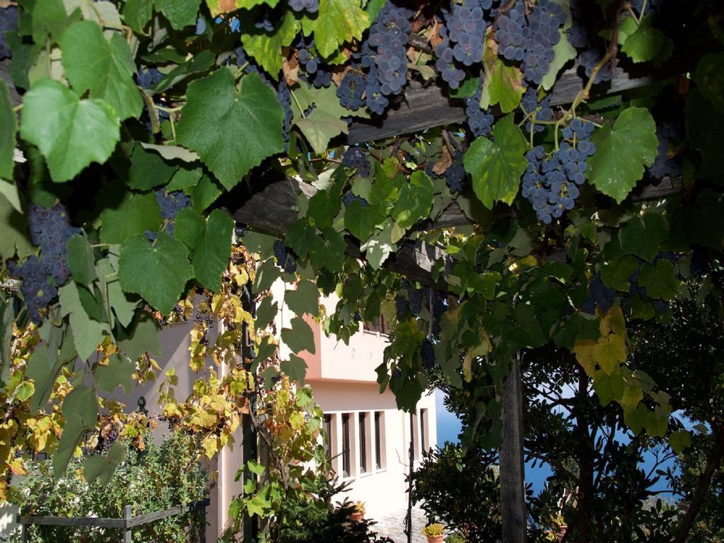 Áyios Dhimítrios Villa Aglaini מראה חיצוני תמונה
